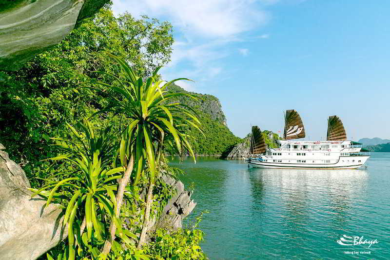 Bhaya Classic Cruises Ha Long Eksteriør bilde